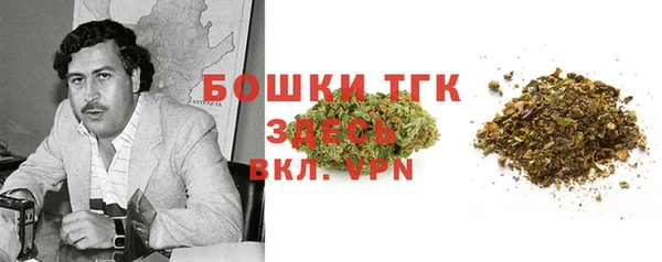 крисы Абаза