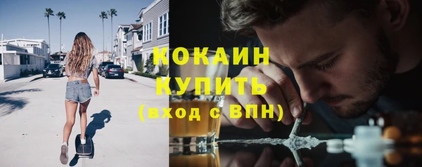 крисы Абаза