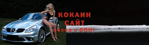 крисы Абаза