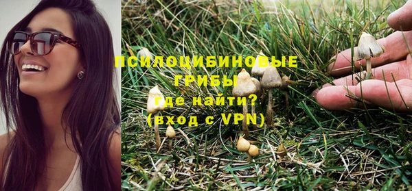 крисы Абаза