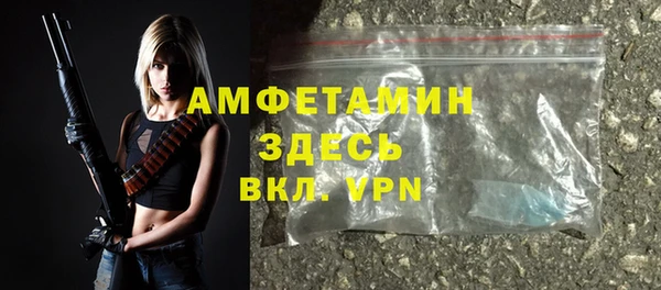 крисы Абаза