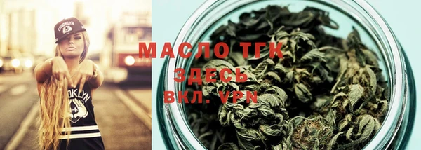 крисы Абаза