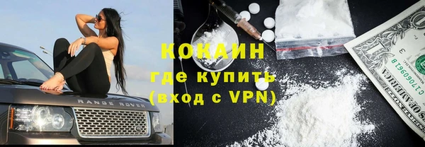 крисы Абаза